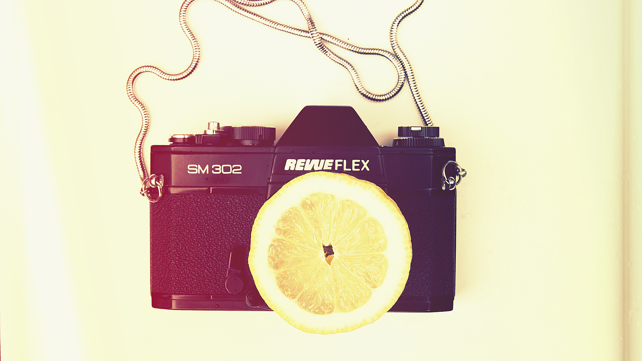 lemon pic_web