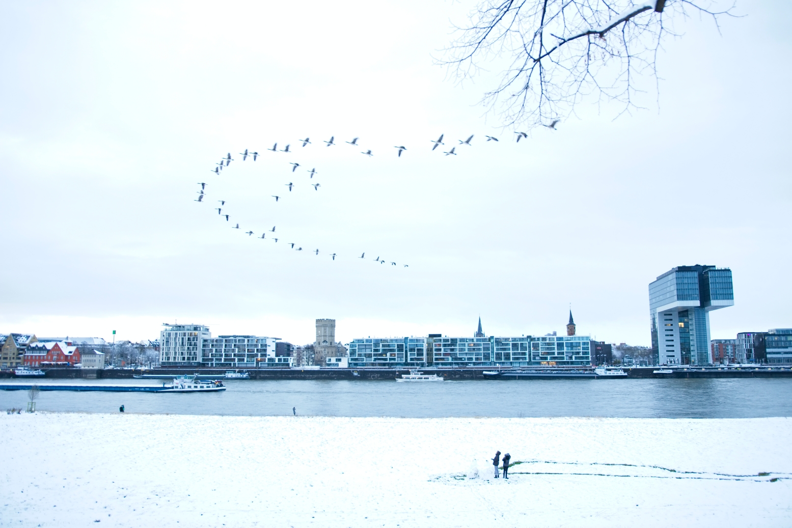 Cologne in Winter
